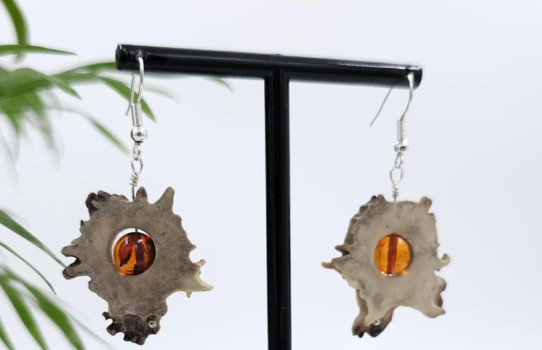 Elnio rago gintaro auskarai