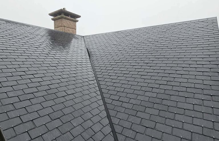 limpieza de muros y tejados