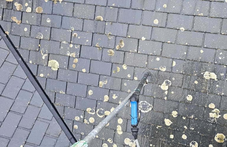 como limpiar tejado sucio