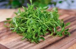 watercress