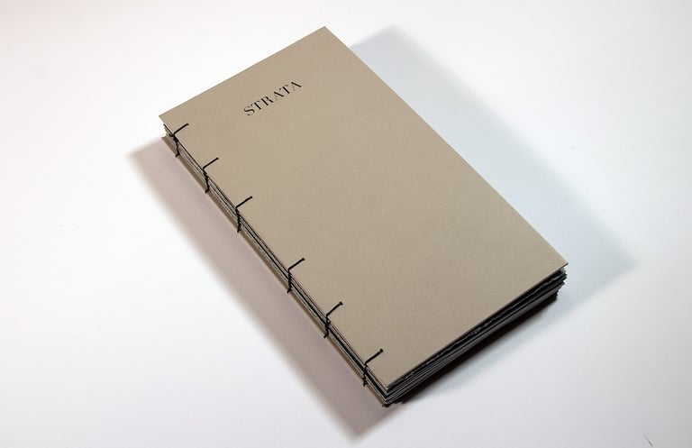 Front cover of Strata publication
