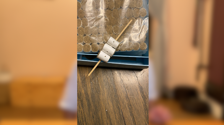 wooden skewer with moxa rolls threaded on it. this is needle moxa - aka "kyutoshin" in japanese