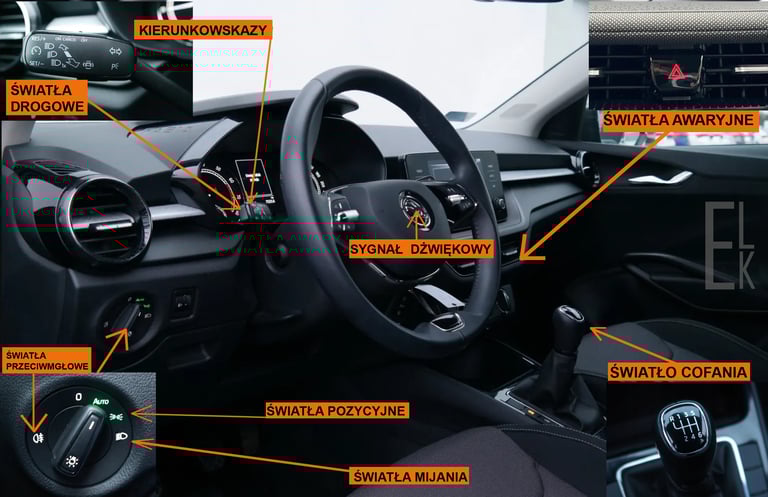 Opis wskaźników i włączników  