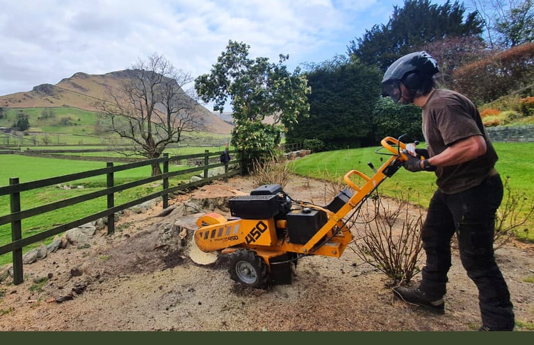 stump grinding