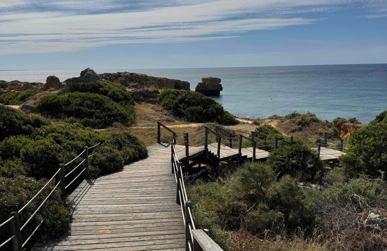 Boardwalk steps leading to the Atlantic Ocean in Portugal