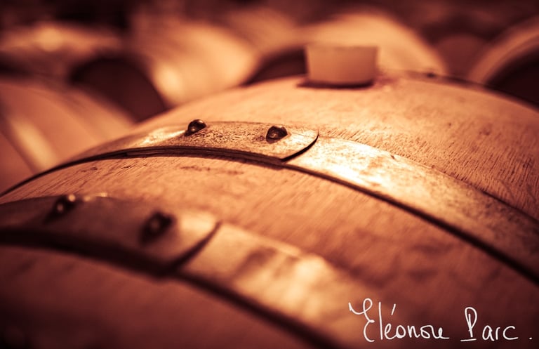 Secret des Dieux série Que le Vin Fût ref QV-03 ©Eléonore Parc