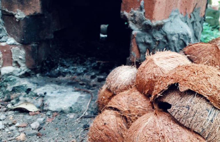 Raw coconut shell before production