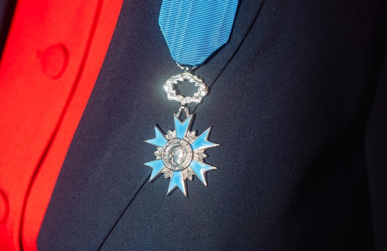 Insignes de chevalier de l'ordre national du Mérite