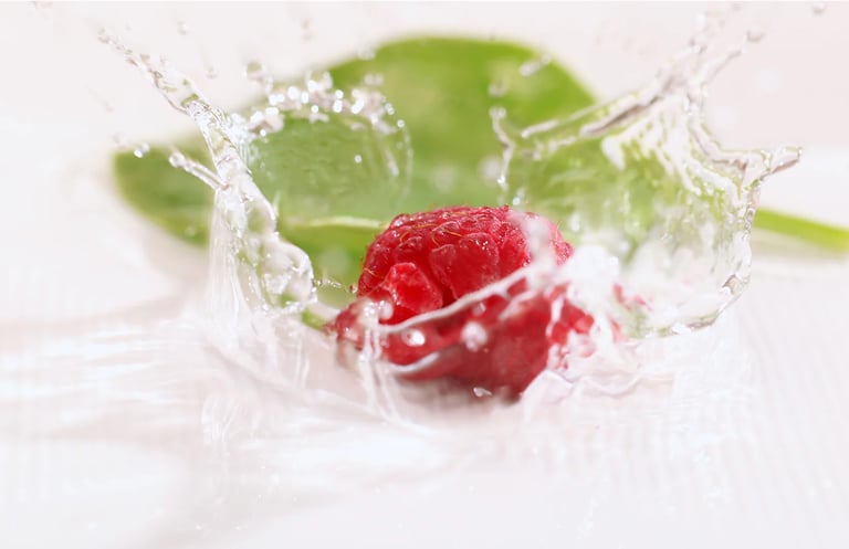 fort lauderdale food photographers 