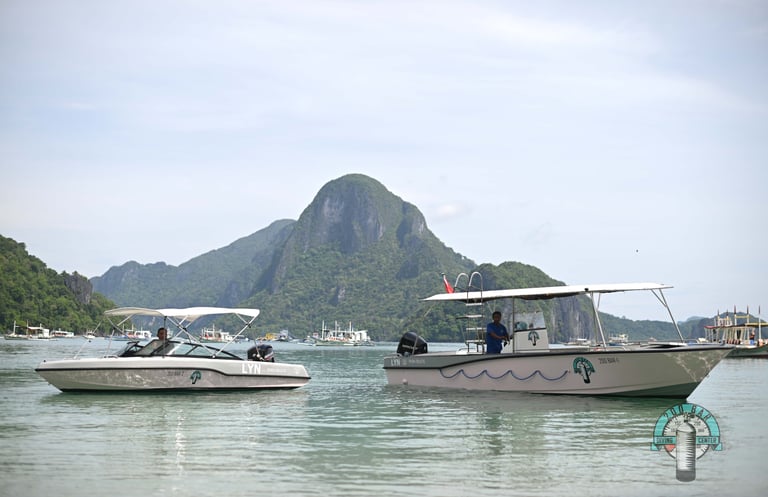 el nido philippines diving