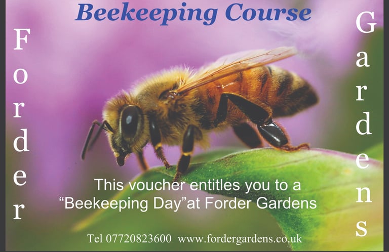 Beekeeping , Gift Vouchers