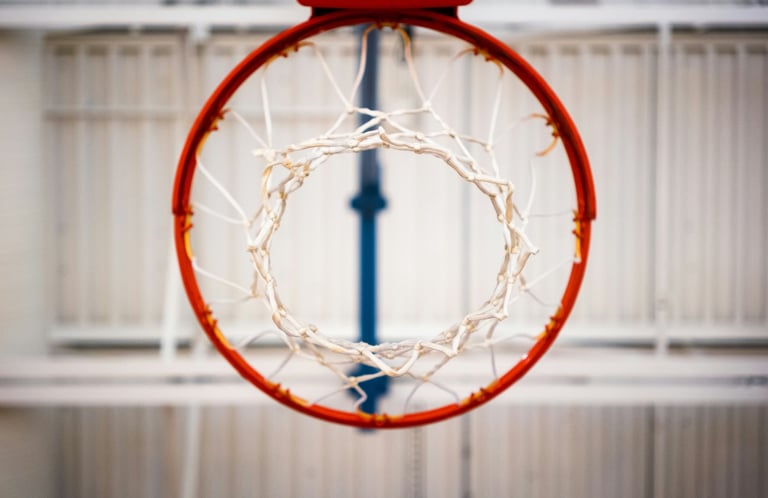 Aro de Baloncesto con malla