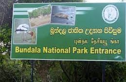 Bundala National Park