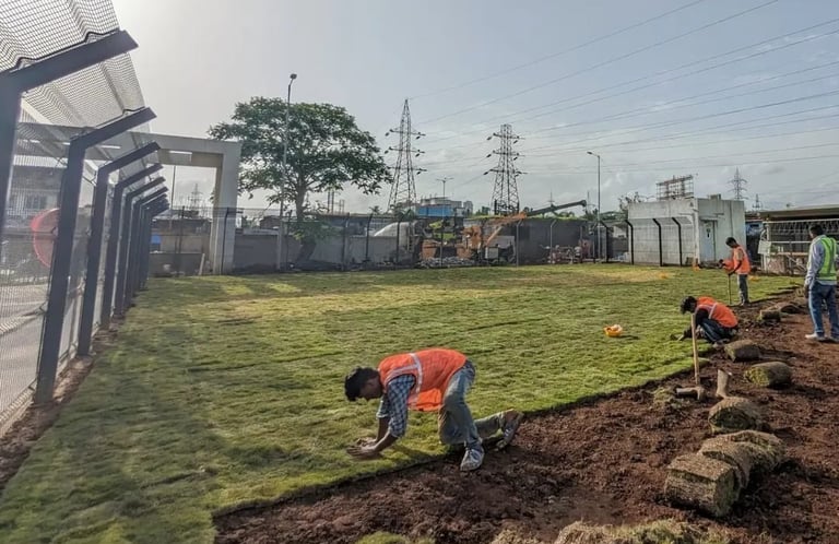 Lawn Grass Suppliers in Kakinanda
