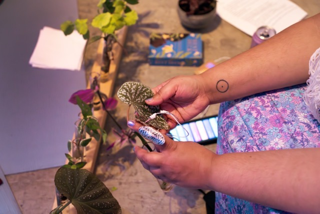 A woman plays with leaves of plants controlling the sound environment with their electricity signals