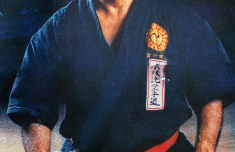 DOJOS.LAT Comunidad de artes marciales en América Latina