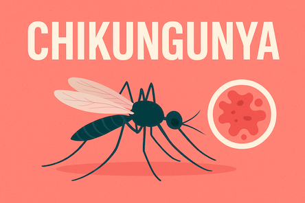 Chikungunya symptoms and treatment