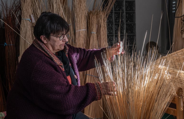 triage de l'osier par taille avant le tressage d'un panier