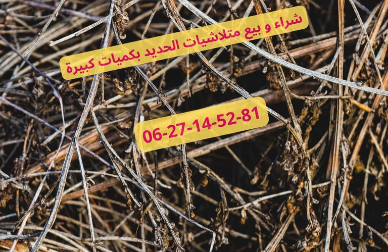 Ferraille Maroc  Analyse des Spécialistes