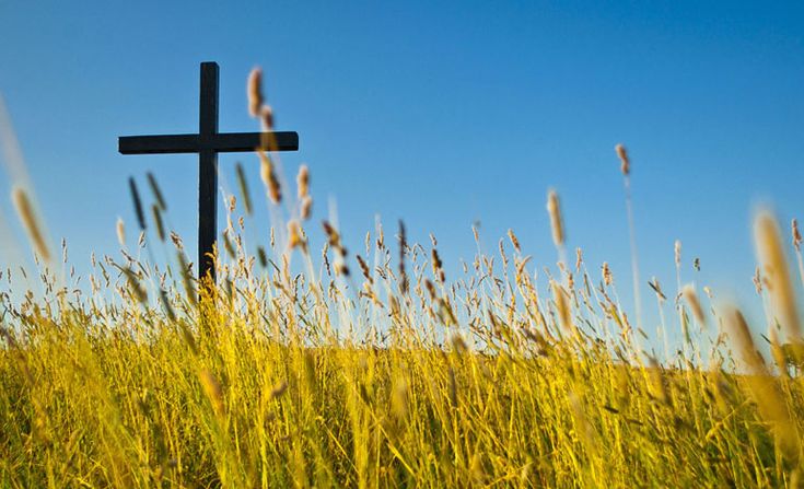 cross on the field