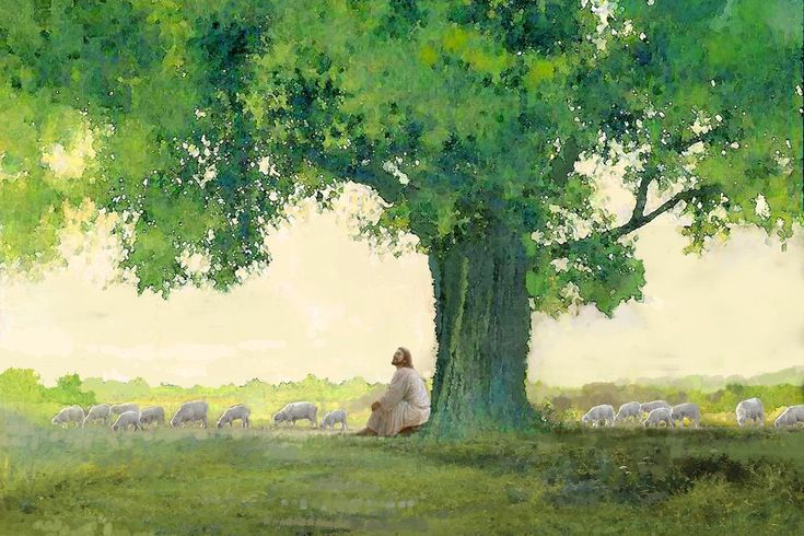 Finding Purpose in Suffering: Romans 8:28