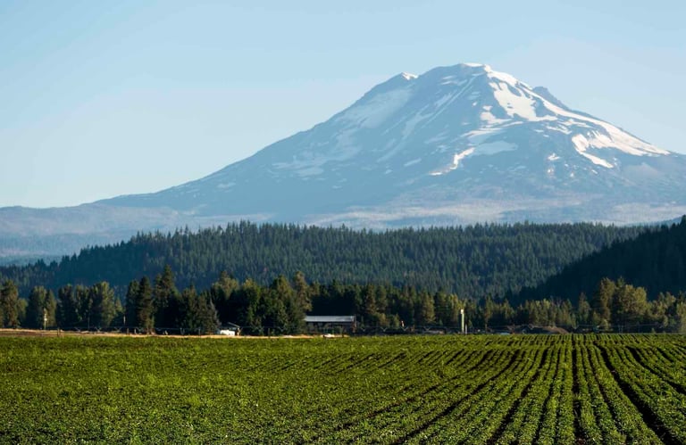 Nutrilite organic farm in Trout Lake West, USA