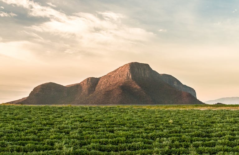 Nutrilite organic farm in Jalisco, Mexico