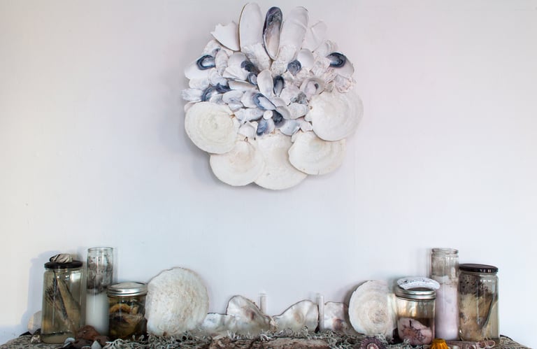 a seashell mandala above a shelf with more seashells