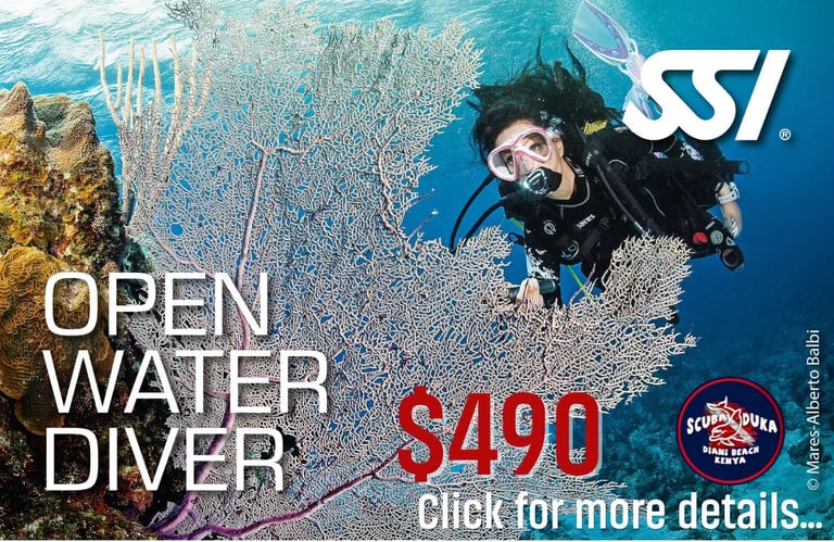 A female scuba diver explores a coral reef during an SSI Open Water Diver course in Diani Beach, Kenya.