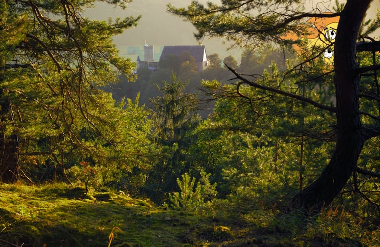 une flamme logo de MaxThomasBois qui tient un drapeau français a côté d'une cheminée