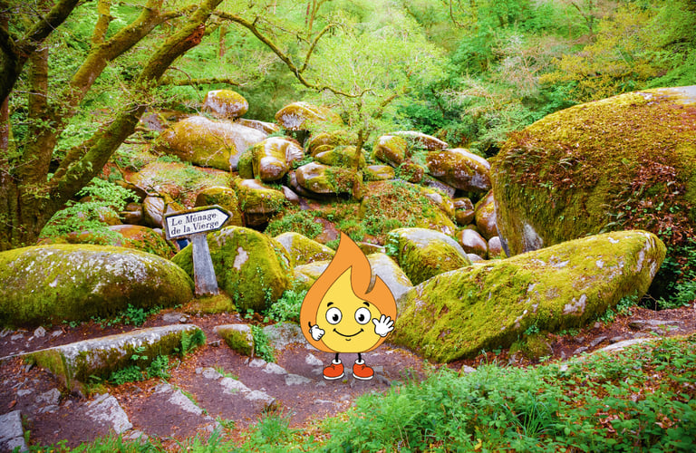 Maxima la flamme de MaxThomasBois présente et fais coucou pour dire qu'il y a du bois en Bretagne