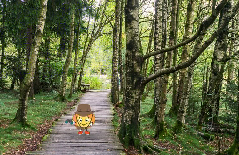 Maxima la flamme orange est à l'aventur pour vendre du bois de chauffage MaxThomasBois