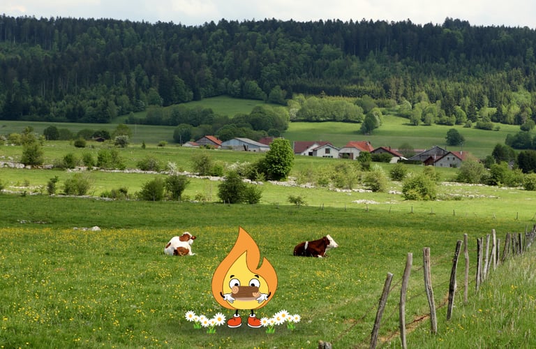 Maxima la petite flamme de MaxThomaBois est en Normandie pour livrer du bois de chauffage 