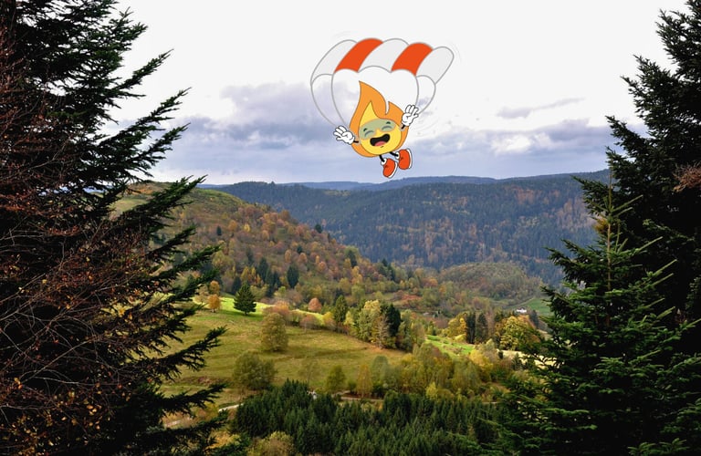 Flamme logo de MaxThomasBois qui fait du parachute pour livrer tout le bois de chauffageen Grand Est