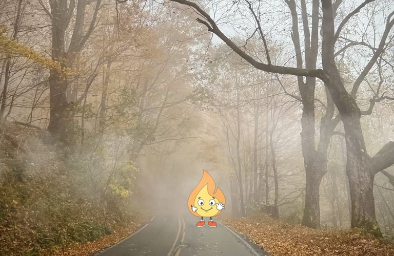 Logo de MaxThomasBois la petite flamme Maxima fais coucou dans la fôret