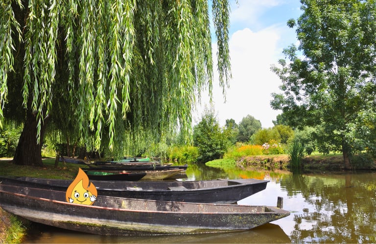 Maxima la petite flamme orange de MaxThomasBois fait de la barque en Loire-Atlantique