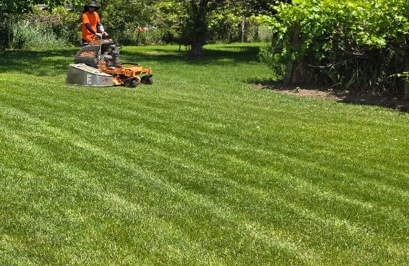 Lawn Maintenance company