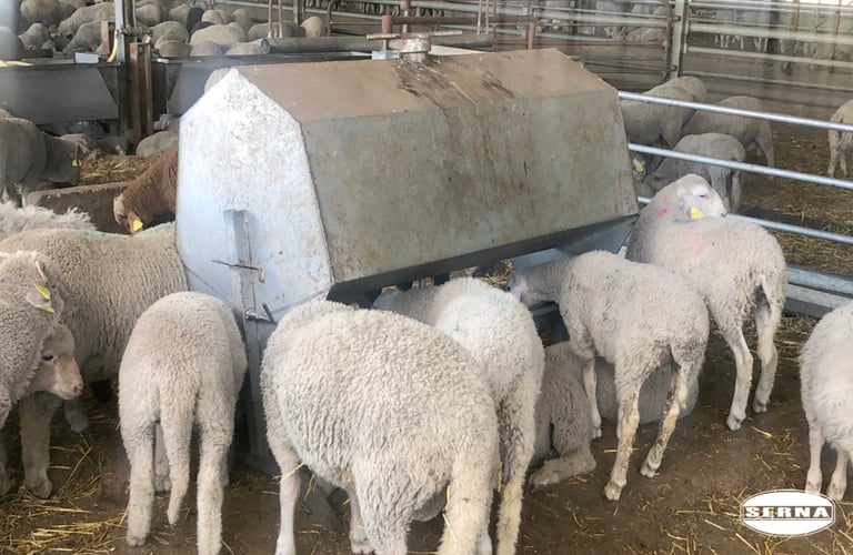 DEPÓSITO SERNA METÁLICAS LÍDER EN DISTRIBUCIÓN MATERIAL GANADERÍA Y CERCADOS, OVINO PRODUCTOS