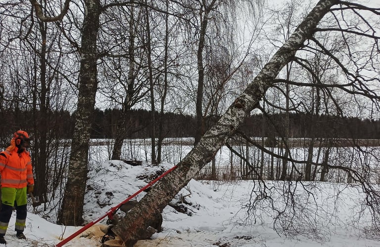 puunkaato leppävirta