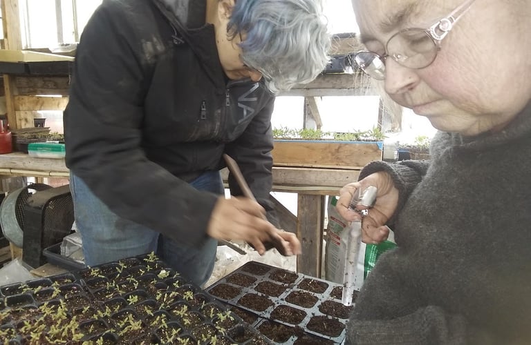 Farmer Ann and another person work on seedlings in the greenhouse