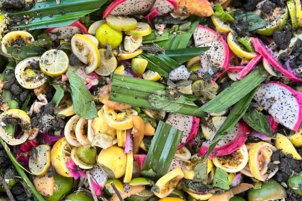 Organic event garnish waste degrading in a compost heap to reduce landfill waste.