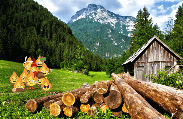 Grossiste bois de chauffage