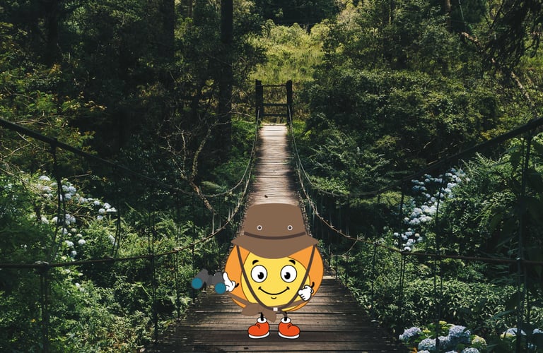 Rejoindre l'aventure avec la petite flamme MaxThomasBois