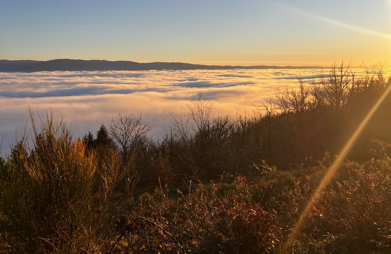  Au dessus du brouillard tout est ensoleillé, mon accompagnement t'y amène avec sérénité 