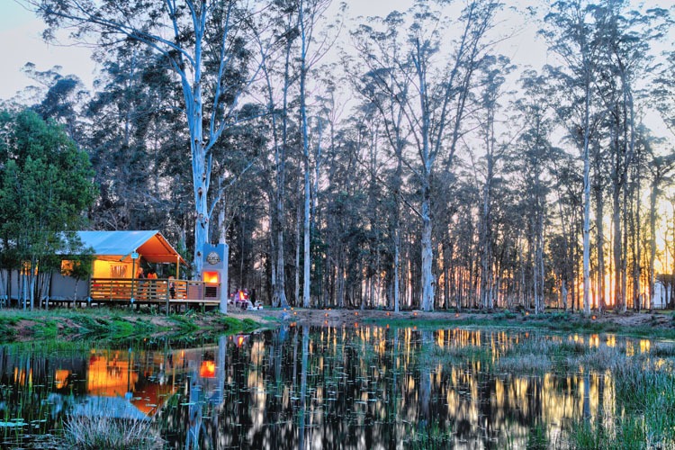 mountain and forest retreat, forest walks