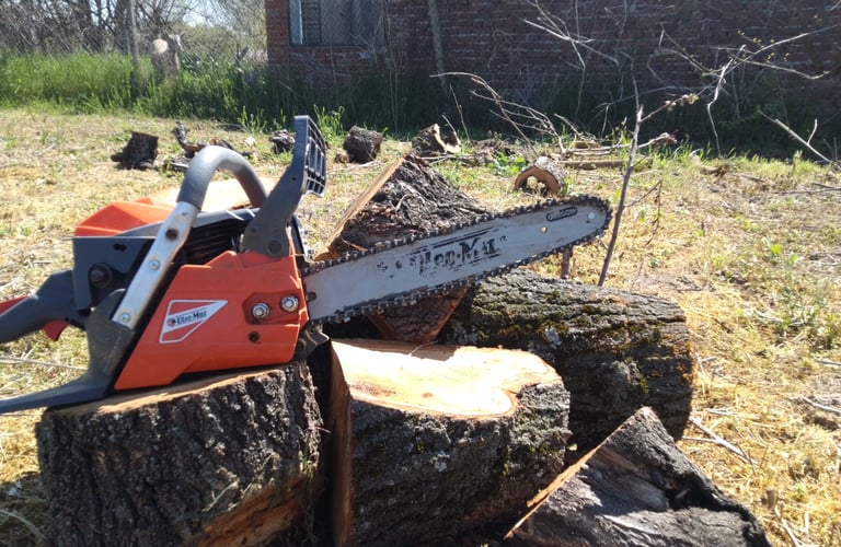 Freshly cut logs and chainsaw after professional tree felling and garden clearance work by Hedgie Wilder Home & Garden