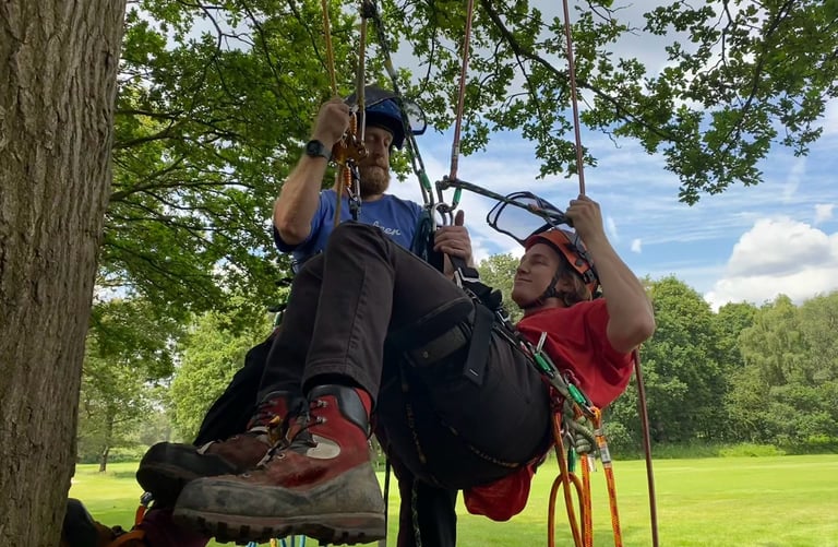 Tree climbing aerial rescue