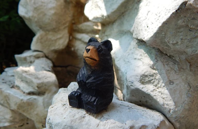 a black bear cubby sitting on a rock formation
