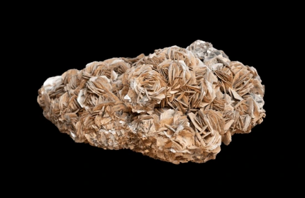 Muscovite