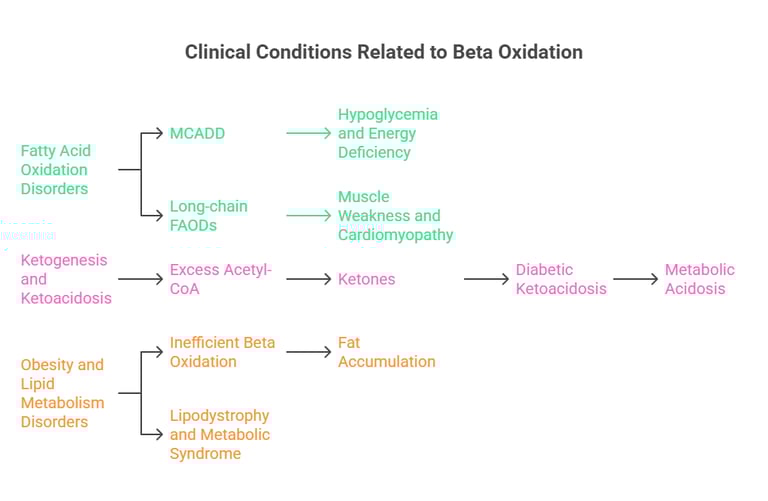beta oxidation clinical co relations